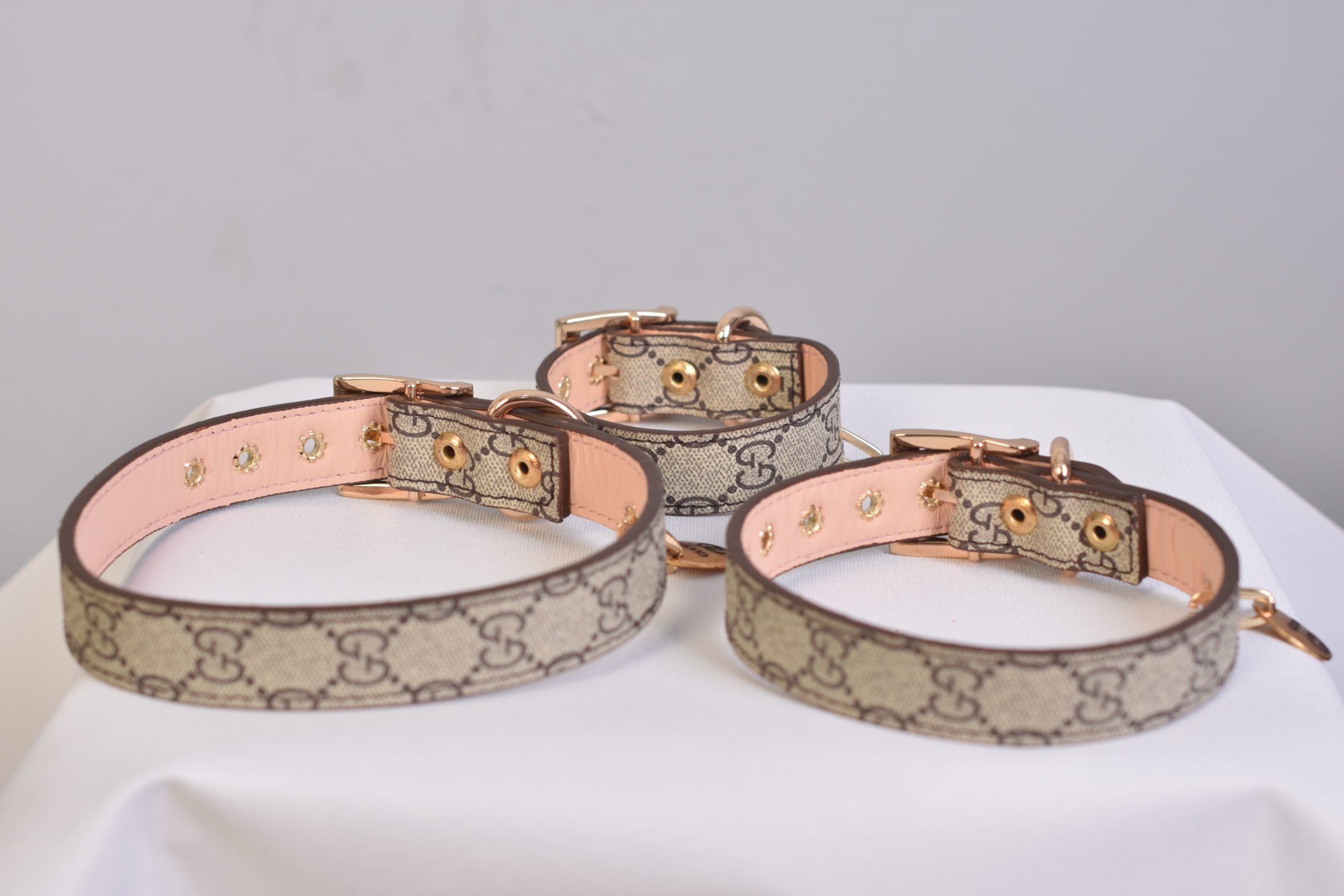 Gucci Dog Collar Hundehalsband Collier de chien – BrandPet