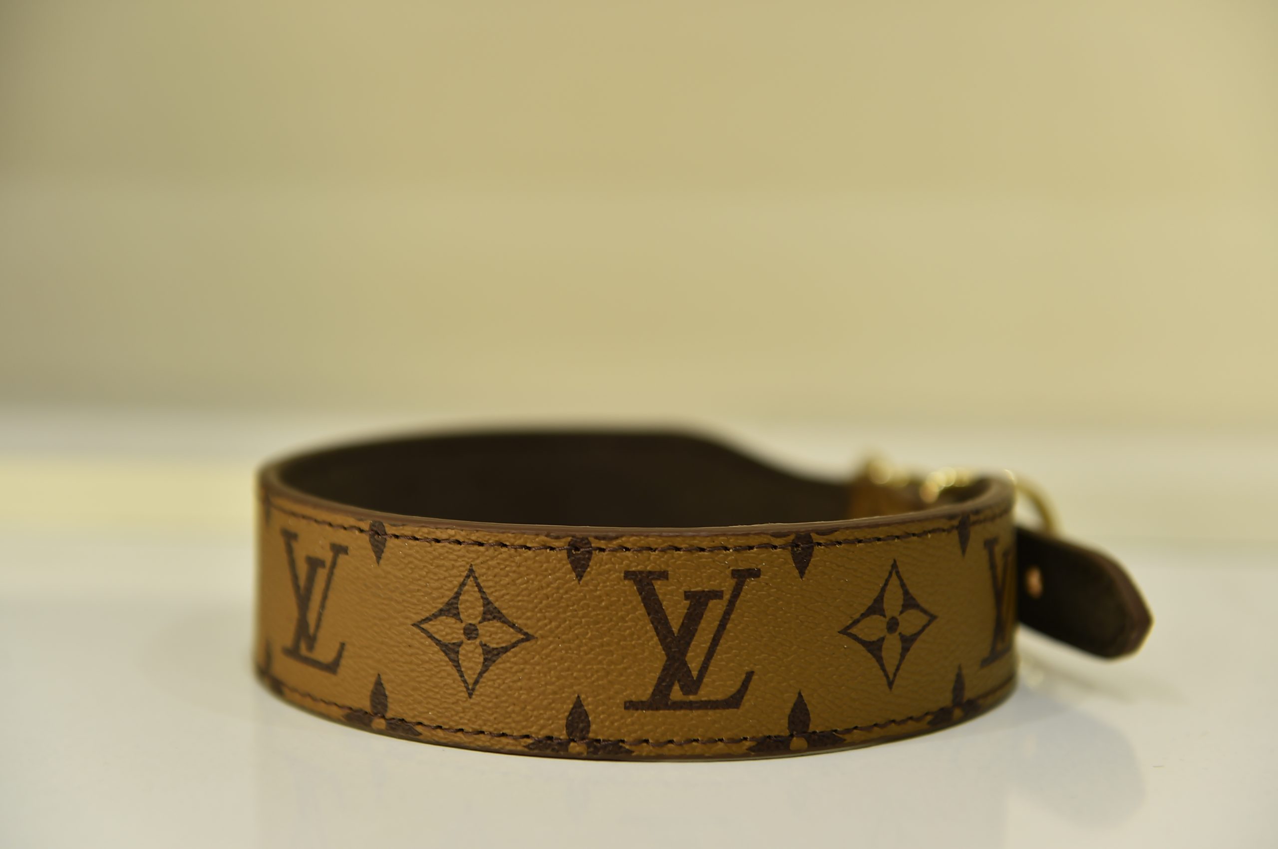 louis vuitton Dog collar Hunde halsband Collier de chien – BrandPet